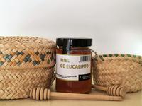 EUCALIPTO 500GR  JPG.jpg